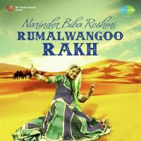Ranjhe Mazian Charian Narinder Biba,Amir Singh Rana Song Download Mp3