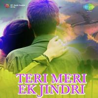 Teri Meri Ek Jindri songs mp3