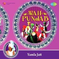 Wah Punjab-Yamla Jatt songs mp3