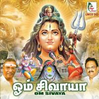 Om Namashivaya Manicka Vinayagam Song Download Mp3