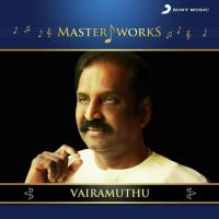 Ae Maanpuru Mangaiyae (From "Guru") A.R. Rahman,Srinivas,Sujatha,Mohammed Aslam Song Download Mp3