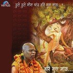 Dhule Dhule Gorachand Hari Gun Gaa HH. Lokanath Swami Maharaj Song Download Mp3