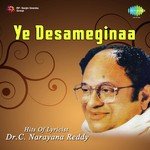 Ye Desameginaa - Hits of Lyricist Dr. C. Narayana Reddy songs mp3