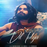 Dil Tutya Nayab Khan Song Download Mp3