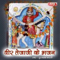 Tejaji Maharaj Ka Darshan Paau Surajmal Bharti Song Download Mp3