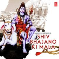Shiv Manas Pooja Ravinder Jain,Rajendra Jain Song Download Mp3