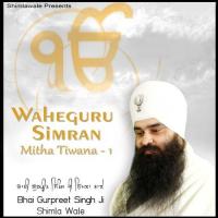 Waheguru Simran - Mitha Tiwana, Vol. 1 Bhai Gurpreet Singh Ji Song Download Mp3