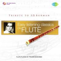 Easy Listening Classics On Flute - Tribute To S.D. Burman songs mp3