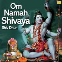 Om Namah Shivaya - Shiv Dhun songs mp3