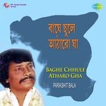Bou Amar Vote Danriyechhe Parikshit Bala Song Download Mp3