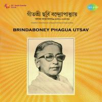 Brindaboney Phagua Utsav songs mp3