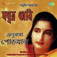 Madhuro Dhani Anuradha Paudwal songs mp3