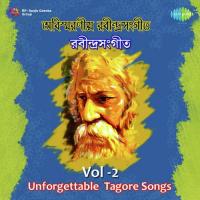 Unforgettable Tagore Songs Vol. 2 songs mp3