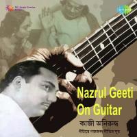 Nazrul Geeti On Guitar songs mp3