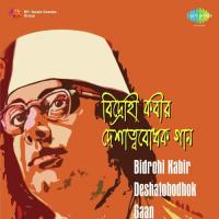 Bidrohi Kabir Deshatobodhok Gaan songs mp3