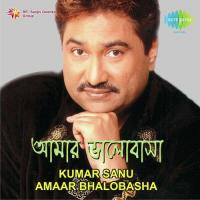 Kumar Sanu-Amaar Bhalobasha songs mp3