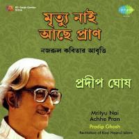 Amra Bharat E Manchitrer Bharatbarso - Recitation Pradip Ghosh Song Download Mp3
