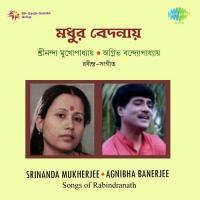 Madhur Bedanaay songs mp3