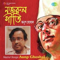Nazrul Songs Aunp Ghoshal songs mp3