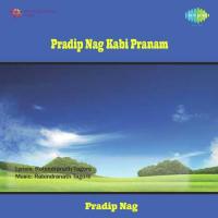 Tai Tomar Ananda Aamar Par Pradip Nag Song Download Mp3