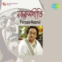 Feroza-Nazrul songs mp3