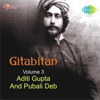 Gitabitan Project Vol. 3 Aditi Gupta And Pubali Deb songs mp3