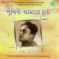 Prithibi Amare Chay Satya Chowdhury songs mp3