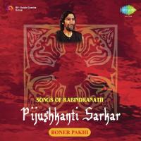 Boner Pakhi - Pijushkanti Sarkar songs mp3