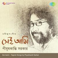 Sei Ame Pijushkanti Sarkar songs mp3