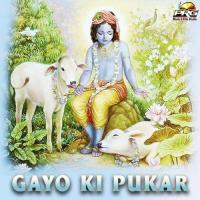 Gayo Ki Pukar songs mp3