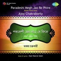 Sakhi Bandho Lo Bandho Lo Jhulaniya Ajoy Chakrabarty Song Download Mp3
