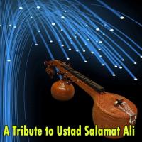 A Tribute to Ustad Salamat Ali songs mp3