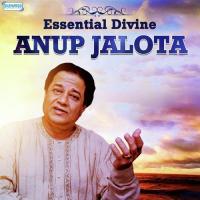 Aisi Laagi Lagan (From "Bhajan Samrat Anup Jalota") Anup Jalota Song Download Mp3