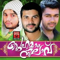 Snehamam Nilavu songs mp3