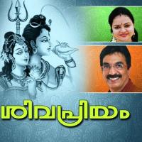 Poothiruvathiranalil Unni Menon Song Download Mp3
