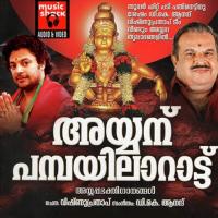 Kanni Ayyappan Master Devasurya Song Download Mp3
