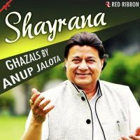 Shayrana - Ghazals by Anup Jalota songs mp3