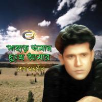 Pagol Hoyechi Ami Sheikh Mohsin Song Download Mp3
