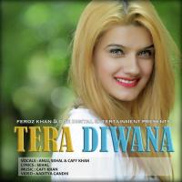 Tera Diwana Anuj Seghal,Cafy Khan Song Download Mp3
