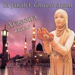 Sary Rasoolon Mein Ala Hamara Nabi Arzeena Bibi Song Download Mp3