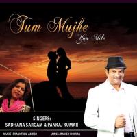 Tum Mujhe Yun Mile Pankaj Kumar,Sadhana Sargam Song Download Mp3