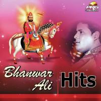 Tharo Dham Runiche Mann Bhayo Bhanwar Ali Song Download Mp3