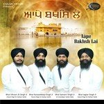 Aape Bakhsh Lai Bhai Kanwaldeep Singh Ji Song Download Mp3