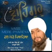 Vass Mere Pyareya songs mp3