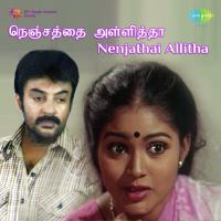 Nejathai Allitha songs mp3