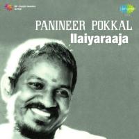 Panineer Pokkal songs mp3