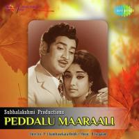 Peddalu Maaraali songs mp3