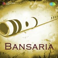 Jo Karke Gaye Barbad Hamen Lata Mangeshkar Song Download Mp3
