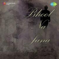 Bhool Na Jana songs mp3