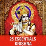 25 Essentials - Krishna songs mp3
